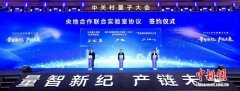 聚焦应用场景落地等方向 2025中关